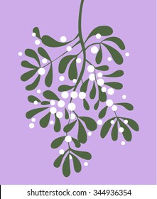 Mistletoe vector illustration