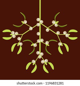 Mistletoe. Vector illustration. Mistletoe branch with berries. New Year, Christmas Traditional symbol