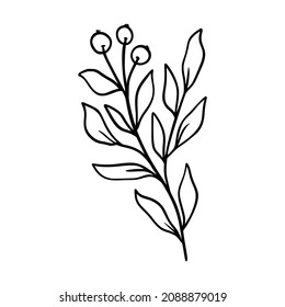 Mistletoe vector illustration. Floral hand drawn ilex. Xmas winter linear element in modern style. Elegant silhouette isolated on white background. Mistletoe line art for invitation, card, poster.