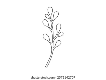 Mistletoe vector illustration. Floral hand drawn ilex. Christmas linear element in modern style. One line art. Vector illustration