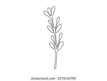 Mistletoe vector illustration. Floral hand drawn ilex. Christmas linear element in modern style. One line art. Vector illustration