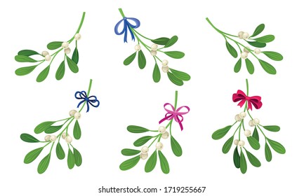 Mistletoe or Viscum Branches with Oblong Leaves and Berries Tied in Ribbons Vector Set