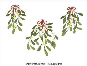 Mistletoe or Viscum Branches with Oblong Leaves and Berries Tied in Ribbons. Vector Set