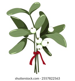Mistletoe with white berries is tied with a red ribbon. Vector illustration