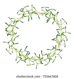 Mistletoe wreath. Vector illustration with isolated hand drawn mistletoe twigs on white background.