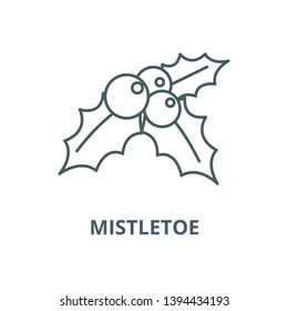 Mistletoe,ornament,christmas vector line icon, linear concept, outline sign, symbol