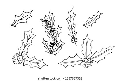 Mistletoes vector set. Christmas holiday decor. Hand drawn plants isolated on white background. High quality illustration. Vector stock illustration.