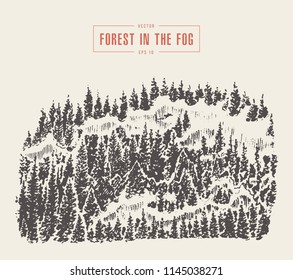 Misty fog in pine forest on mountain slopes, vector illustration, hand drawn, sketch