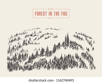 Misty fog in pine forest on mountain slopes, vector illustration, hand drawn, sketch