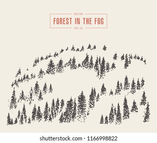 Misty fog in pine forest on mountain slopes, vector illustration, hand drawn, sketch