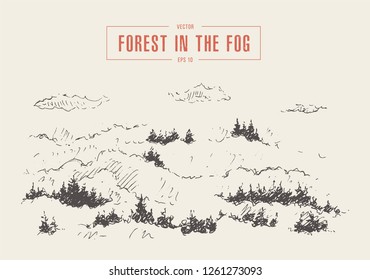 Misty fog in pine forest on mountain slopes, vector illustration, hand drawn, sketch