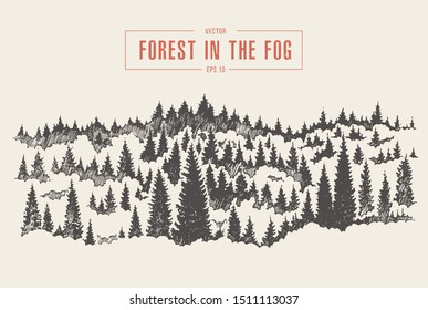 Misty fog in pine forest on mountain slopes. Hand drawn vector illustration, sketch