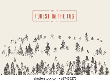 Misty fog in pine forest on mountain slopes, vector illustration, hand drawn, sketch