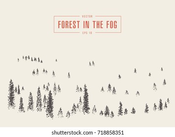 Misty fog in pine forest on mountain slopes, vector illustration, hand drawn, sketch