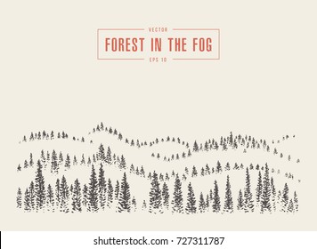 Misty fog in pine forest on mountain slopes, vector illustration, hand drawn, sketch