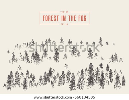 Misty fog in pine forest on mountain slopes, vector illustration, hand drawn, sketch