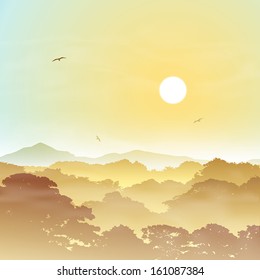 Un paisaje forestal contaminado con árboles y atardecer, Sunrise