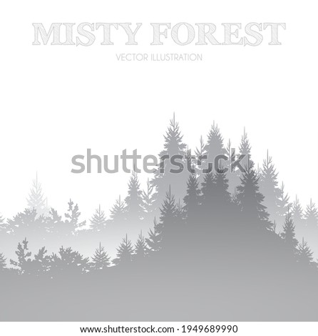 Misty forest. Minimal coniferous landscape. Nature nackground.