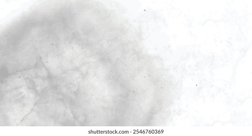 Textura abstracta gris brumosa con intrincados patrones orgánicos y sutiles Gradientes ahumados, evocando una sensación de calma y belleza atmosférica.
