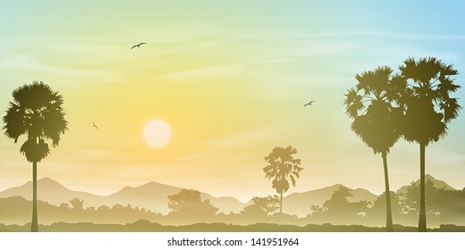 Un paisaje sabroso con palmeras y atardecer, amanecer