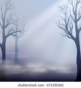 Misty landscape. Silhouettes of trees. Vector background with moonlight. Mitic concept