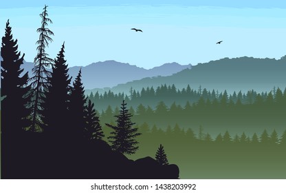 Misty mountain landscape with fir trees on the edge of a cliff