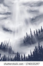 misty pine forest with sunlight background