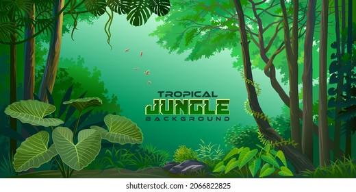 Misty rain forest with large plants, leaves, trees in a setting of a lush green environment.