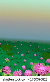 Misty summer morning, clover flowers and leaves background. Perfect for St. Patrick's Day, summer Sunny day, the concept of nature and others.