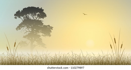 Un amanecer imbatible, un paisaje de atardecer con árboles y cañas