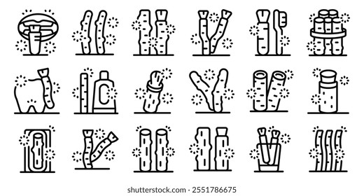 Conjunto de iconos de Miswak. Iconos que muestran los palos de miswak, una herramienta natural de limpieza de dientes, destacando su uso en la higiene oral 
