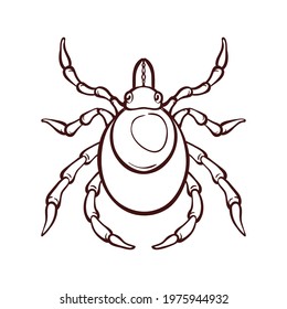 Mite bug, insect control. Vector illustration in cartoon style, isolated on white. Monochrome brown outline icon.