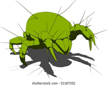 mite - close up