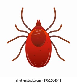 Mite. Colored cartoon mite, insect parasite isolated on white background. Vector illustration 