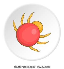 Mite icon. Cartoon illustration of mite vector icon for web