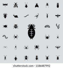 mite icon. insect icons universal set for web and mobile