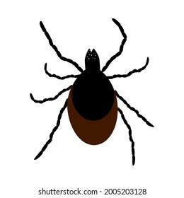 Mite icon isolated on white background. Wild or domestic tick parasite. Flat cartoon mite icon symbol or sign. Insect control, pest removal services. Stock vector illustration