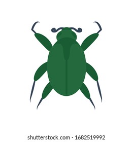 mite insect icon over white background, flat style, vector illustration
