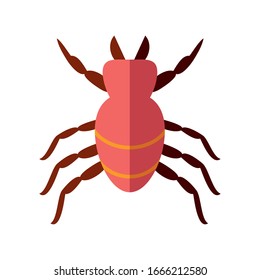 mite insect over white background, flat style icon, vector illustration