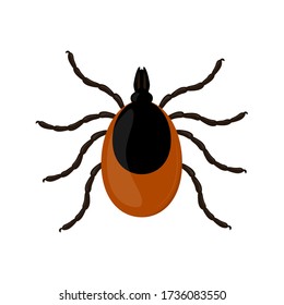 Mite isolated on white background. Insect illustration