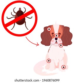 Mite on dog, tick insect. Veterinary for the Protection of Animals. Protection from tick dangerous disease and infection. Babesiosis, Ehrlichiosis and Borreliosis.Vector illustration