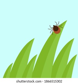 Mite in the tall green grass flat vector illustration, mite hiding in the grass, tick-borne mite color icon, danger tick bug in nature grass