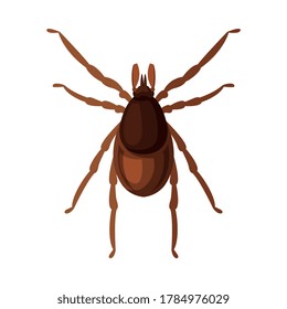 Mite Tick Insect, Pest Control and Extermination Concept Vector Illustration on White Background