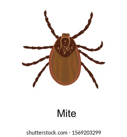 Mite vector icon.Cartoon vector icon isolated on white background mite.