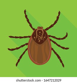 Mite vector icon.Flat vector icon isolated on white background mite.