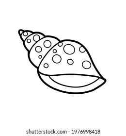 Miter cone shell in the drawing circles outlined for coloring page isolated on white background