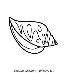 Miter motley cone shell in the drawing circles outlined for coloring page isolated on white background