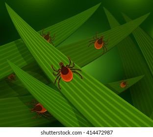 Mites in the tall green grass flat vector illustration, mites hiding in the grass, tick-borne mites color icons, danger ticks bugs in nature grass