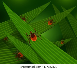 Mites in the tall green grass flat vector illustration, mites hiding in the grass, tick-borne mites color icons, danger ticks bugs in nature grass