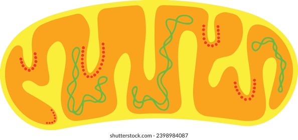 Mitochondria para icono de energía celular